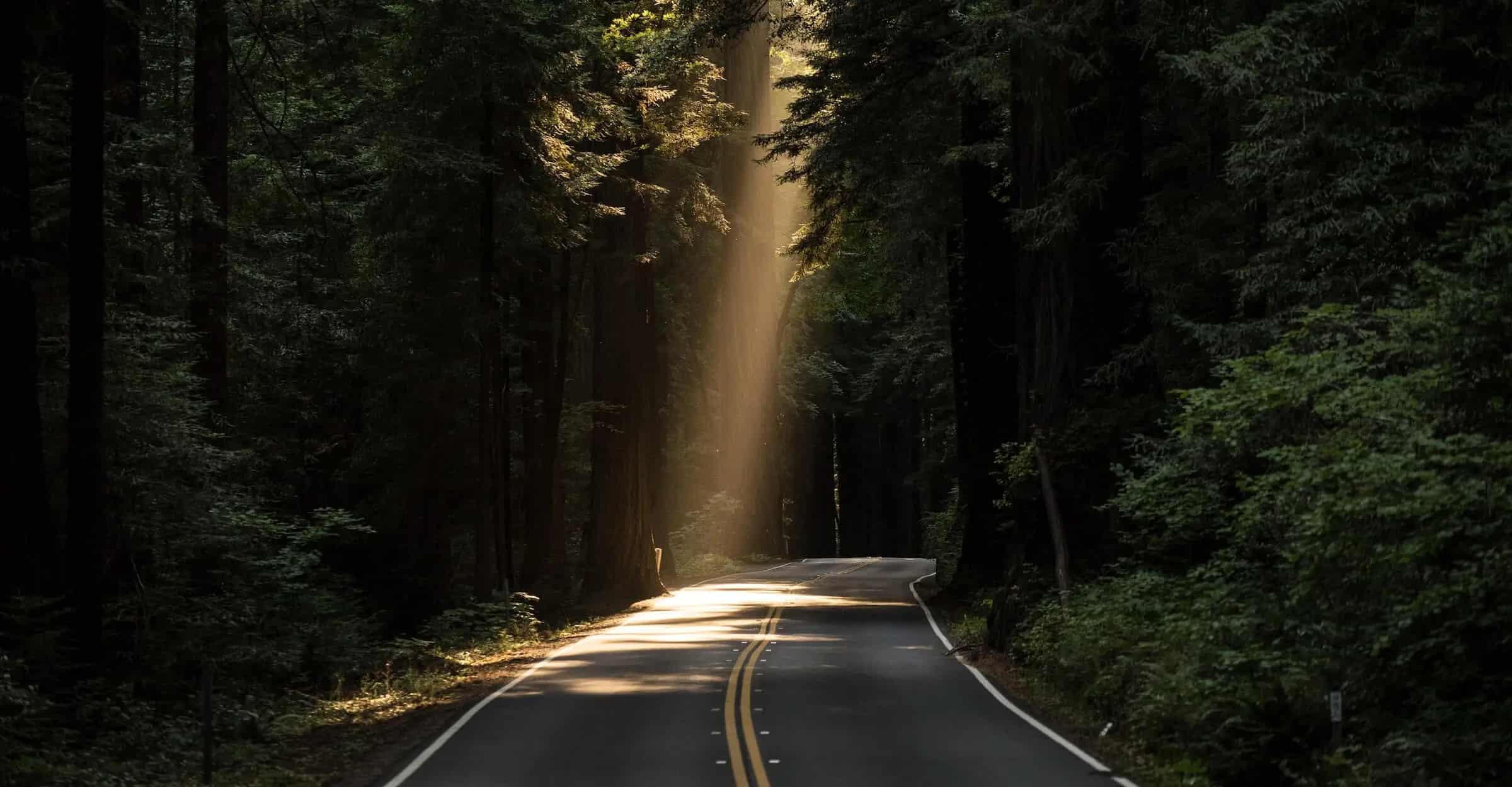 Tinero Voyage hero background